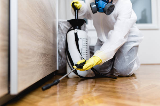 Reliable Mercer, PA Pest Control Solutions