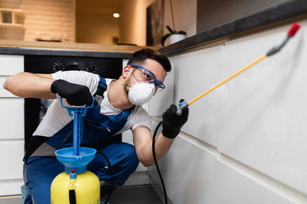 Best Pest Prevention Services  in Mercer, PA