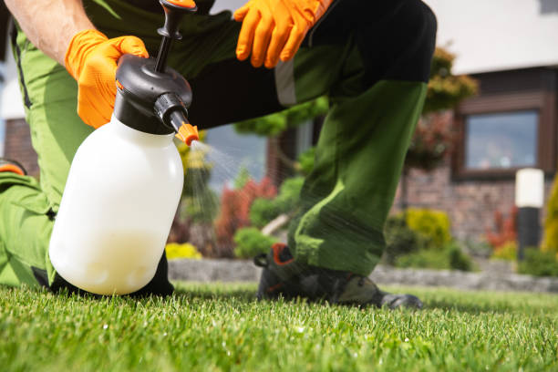 Best Residential Pest Control  in Mercer, PA