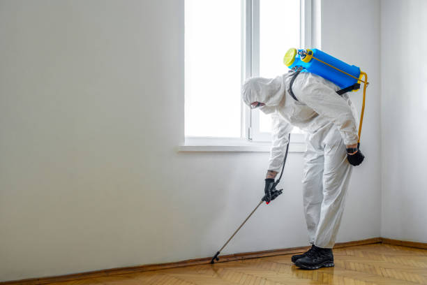 Best Mosquito Control Services  in Mercer, PA