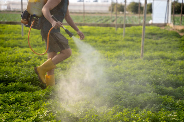 Wasp Removal Services in Mercer, PA