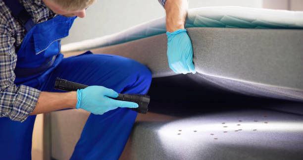 Reliable Mercer, PA Pest Control Solutions