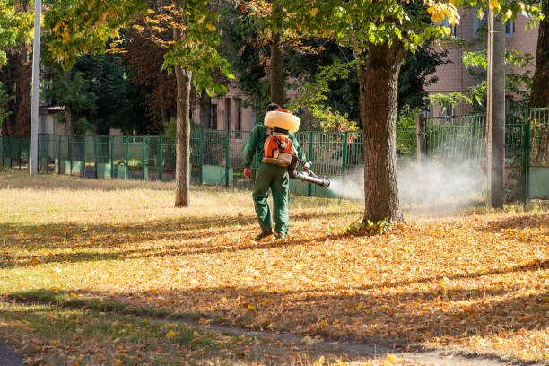 Best Bed Bug Extermination  in Mercer, PA